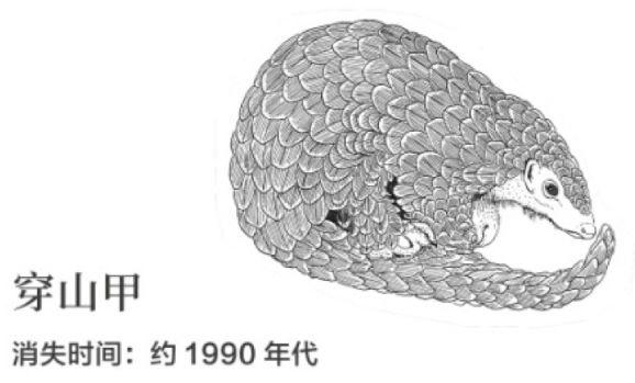 南兆旭 | 深圳百年