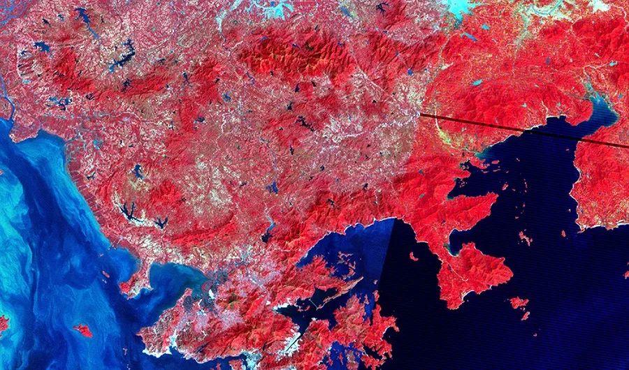 南兆旭 | 深圳百年