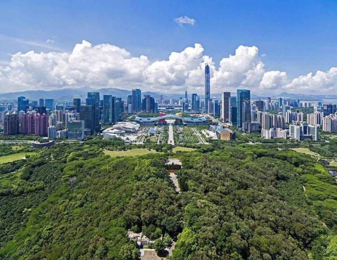 南兆旭 | 深圳百年