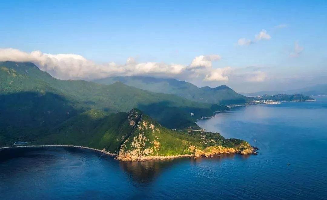 南兆旭 | 深圳百年