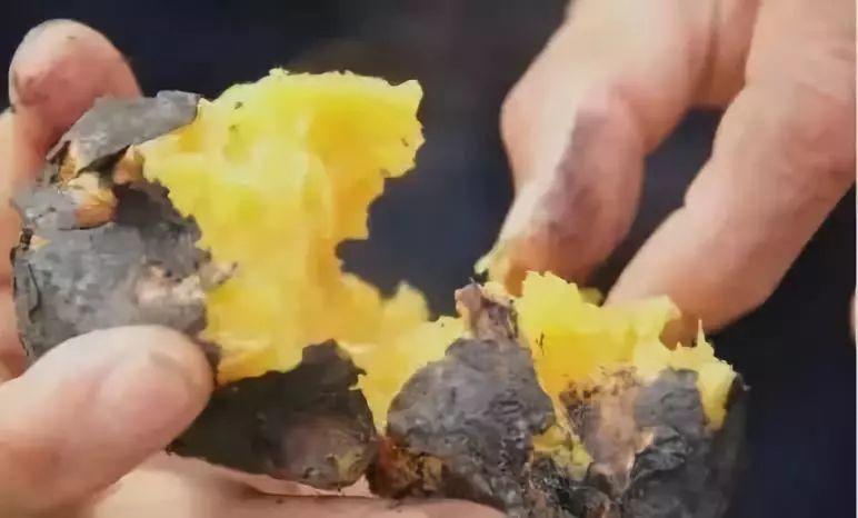 冬天来了，烤红薯终于可以吃到嗨~