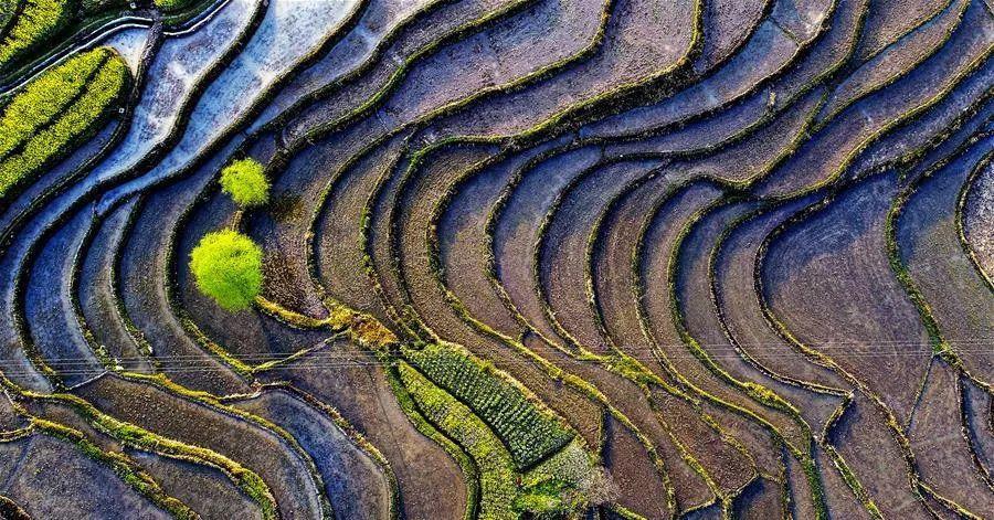 中国人居环境科学的理论与实践