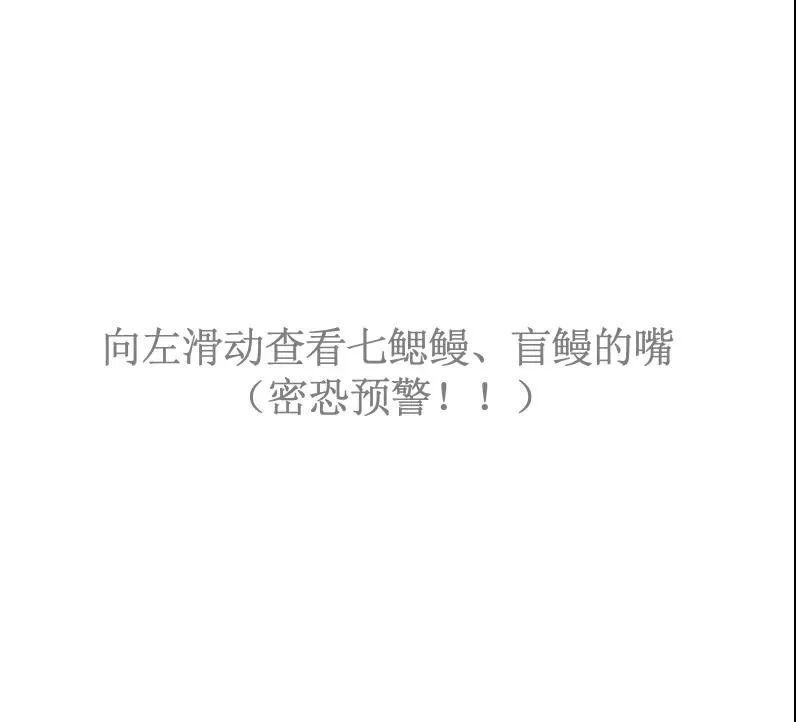 朱敏|我们研究发现，鱼类的一支变成了人类。这是真的吗？