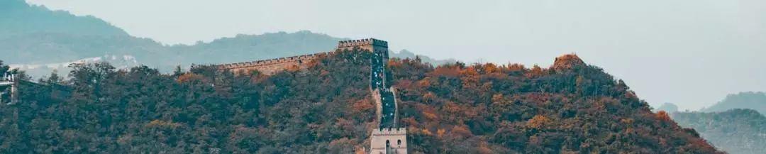习近平：推动形成优势互补高质量发展的区域经济布局