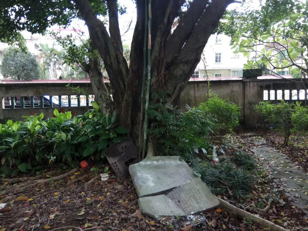 【田野随录】门楼、祠堂、旧庙记录的深井故事 【田野随录】门楼、祠堂、旧庙记录的深井故事