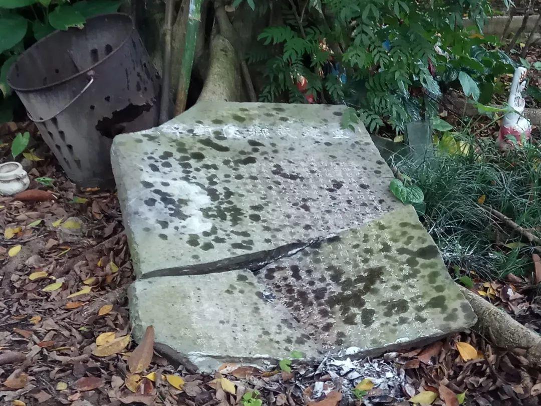 【田野随录】门楼、祠堂、旧庙记录的深井故事 【田野随录】门楼、祠堂、旧庙记录的深井故事