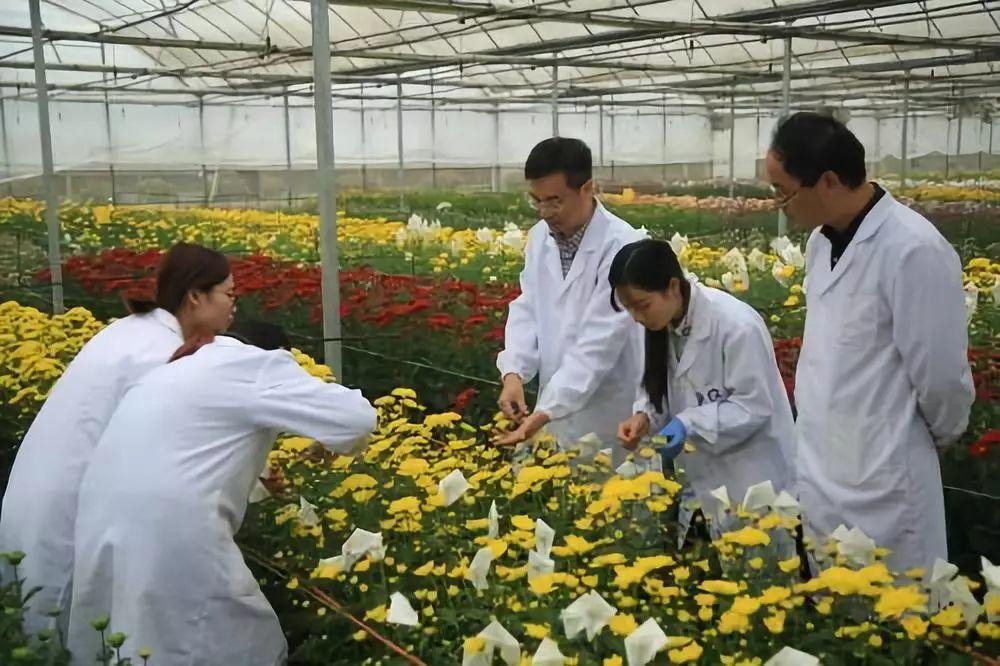 刘同山等:以产业兴旺推动乡村振兴 刘同山等:以产业兴旺推动乡村振兴