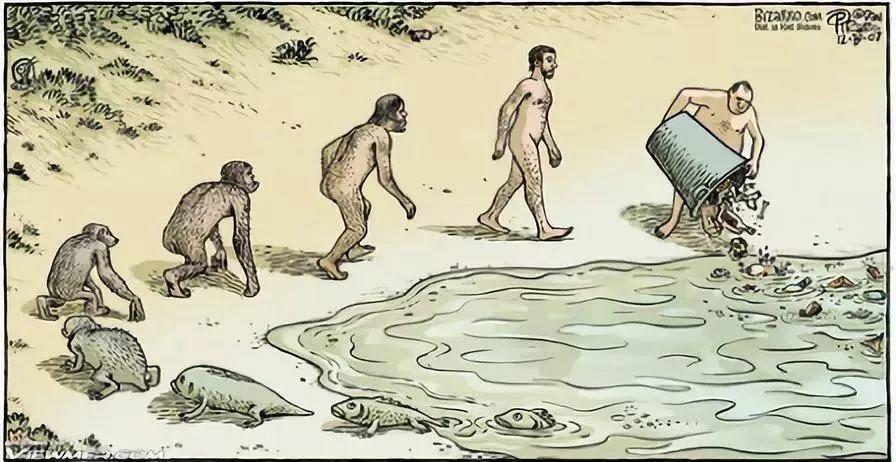 朱敏|我们研究发现,鱼类的一支变成了人类。这是真的吗? 朱敏|我们研究发现,鱼类的一支变成了人类。这是真的吗?