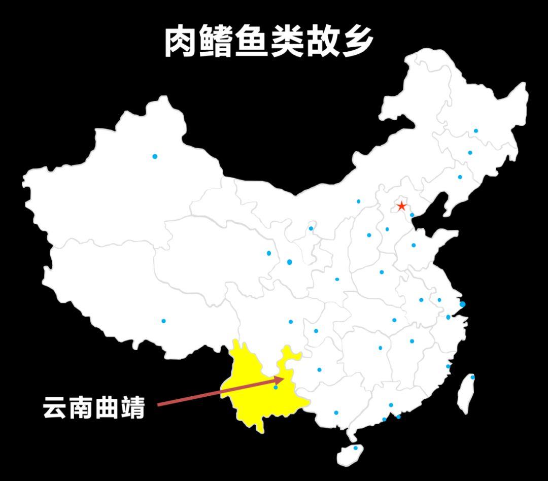 朱敏|我们研究发现,鱼类的一支变成了人类。这是真的吗? 朱敏|我们研究发现,鱼类的一支变成了人类。这是真的吗?