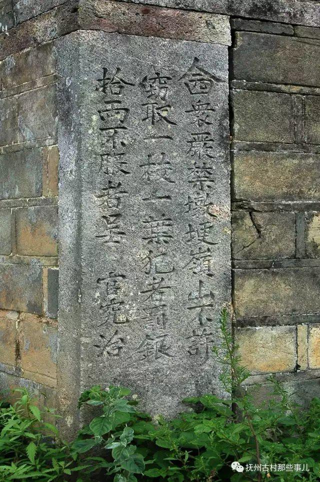 蒲塘村：名荐天朝沐皇恩