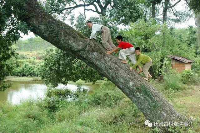 蒲塘村：名荐天朝沐皇恩