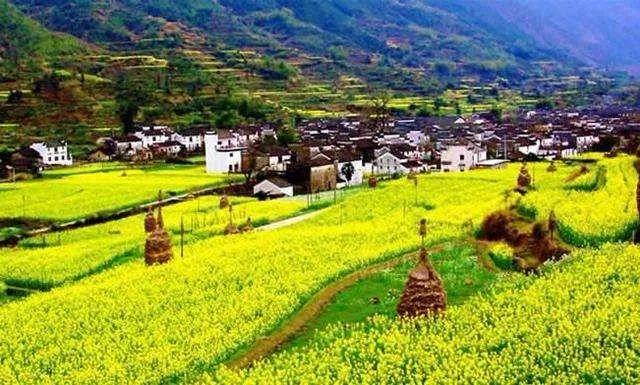 吴理财：近一百年来现代化进程中的中国乡村