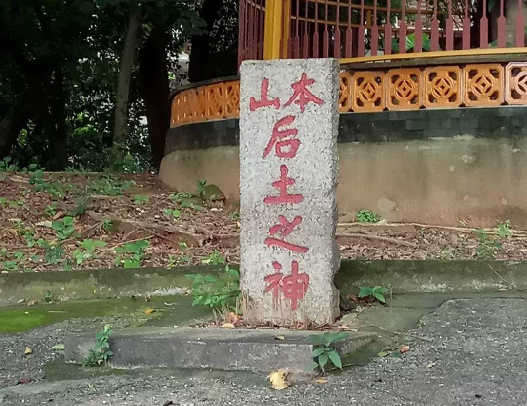 【田野随录】门楼、祠堂、旧庙记录的深井故事 【田野随录】门楼、祠堂、旧庙记录的深井故事