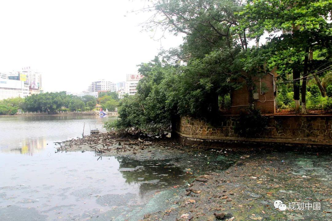 城市双修实践中的算法逻辑 —— 以海口市城市更新三角池示范区项目为例