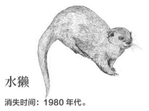 南兆旭 | 深圳百年