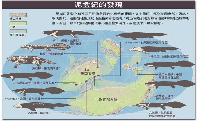 朱敏|我们研究发现，鱼类的一支变成了人类。这是真的吗？