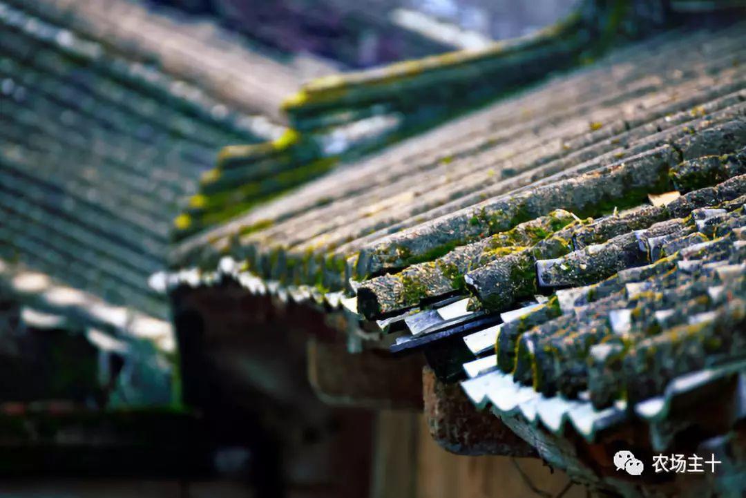 如果你在农村有块地，就建一座这样的房子吧