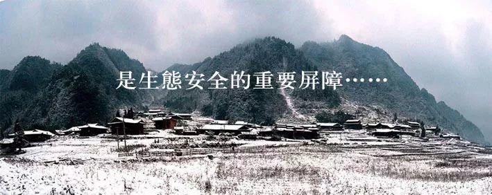 告别2019，喜迎2020。新年快乐！