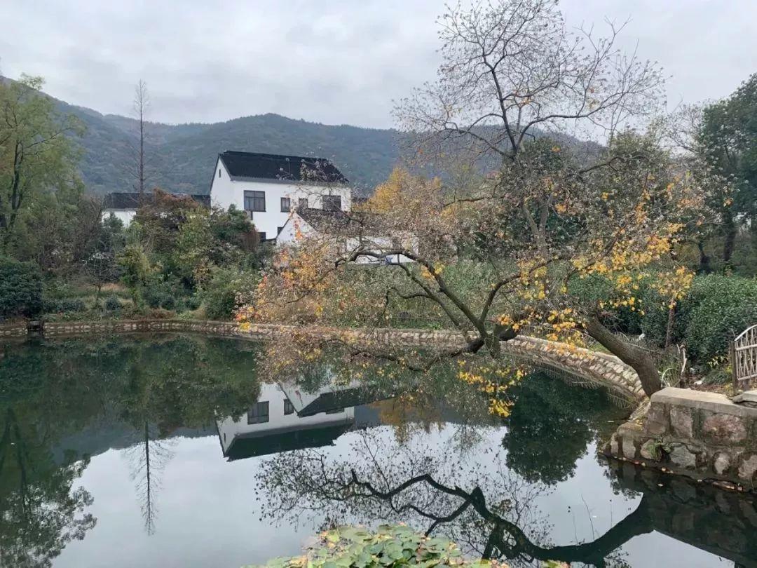 2019江苏省城市规划研究会小城镇规划设计专业委员会学术年会顺利举办