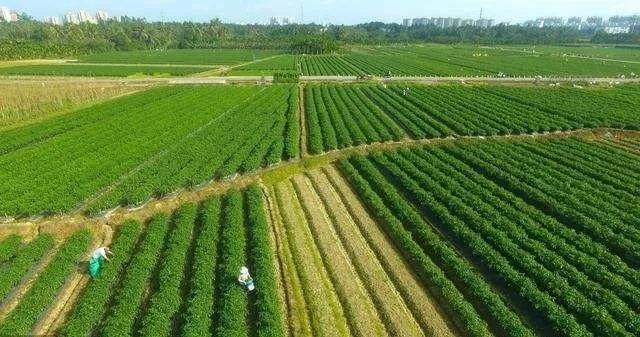 为高质量发展保驾护航——看江苏省如何做好重大项目用地保障 为高质量发展保驾护航——看江苏省如何做好重大项目用地保障