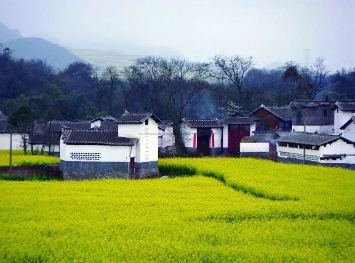 范恒山:现代化治理体系中的乡镇与乡镇的现代化治理