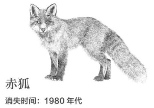 南兆旭 | 深圳百年