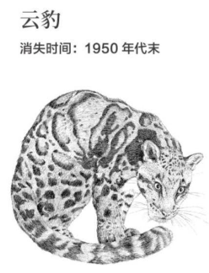 南兆旭 | 深圳百年