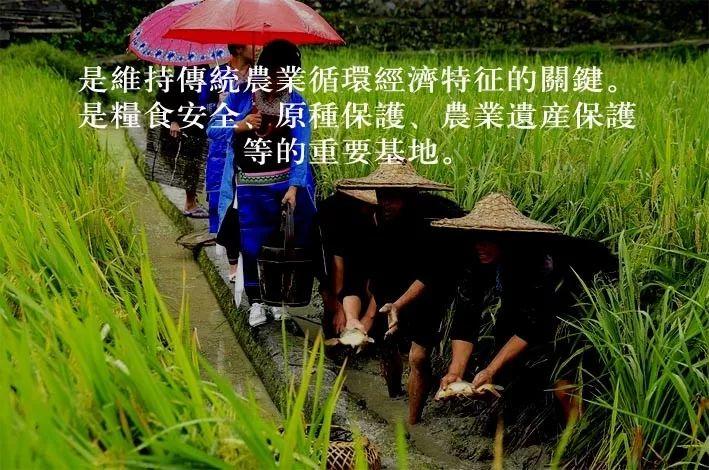 告别2019，喜迎2020。新年快乐！