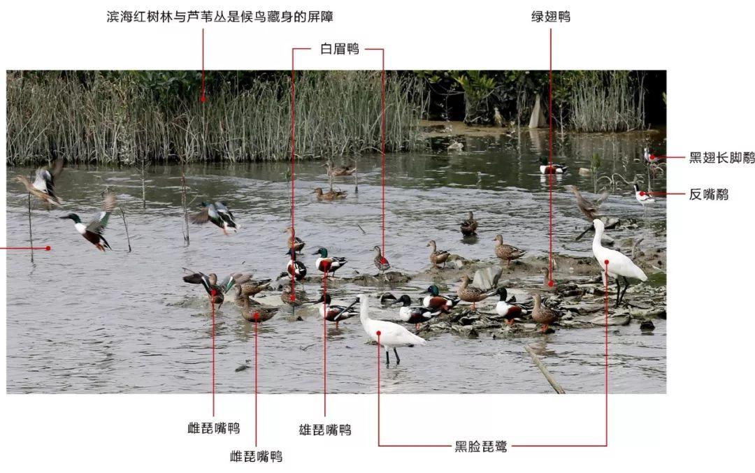 南兆旭 | 深圳百年