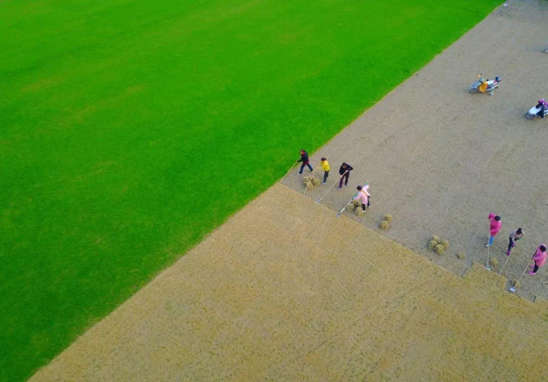 参与式规划和全过程营建,走进如皋市特色田园乡村-钱长村夏家庄 参与式规划和全过程营建,走进如皋市特色田园乡村-钱长村夏家庄