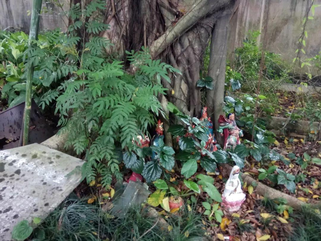 【田野随录】门楼、祠堂、旧庙记录的深井故事 【田野随录】门楼、祠堂、旧庙记录的深井故事