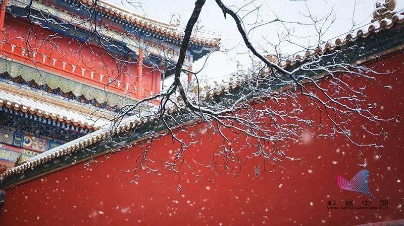 科普 | 为什么一下雪,整个世界就变得安静了? 科普 | 为什么一下雪,整个世界就变得安静了?