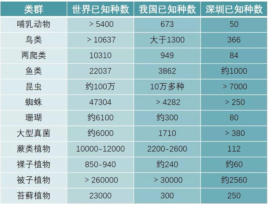 南兆旭 | 深圳百年