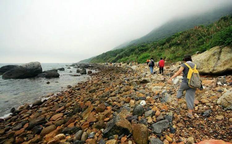 南兆旭 | 深圳百年