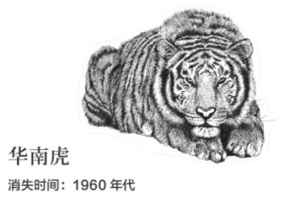 南兆旭 | 深圳百年