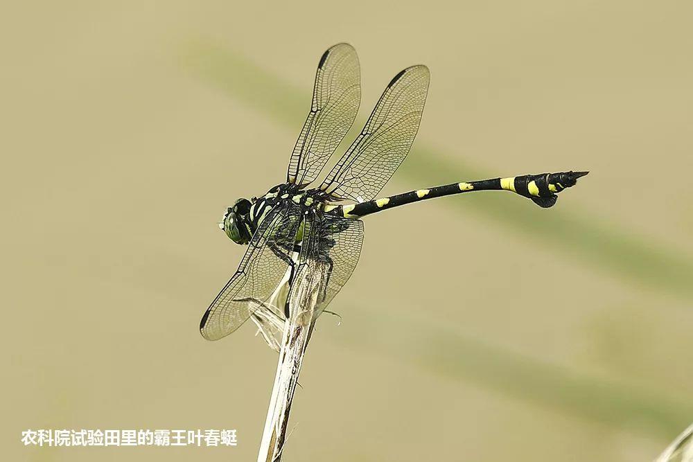 南兆旭：这里是深圳