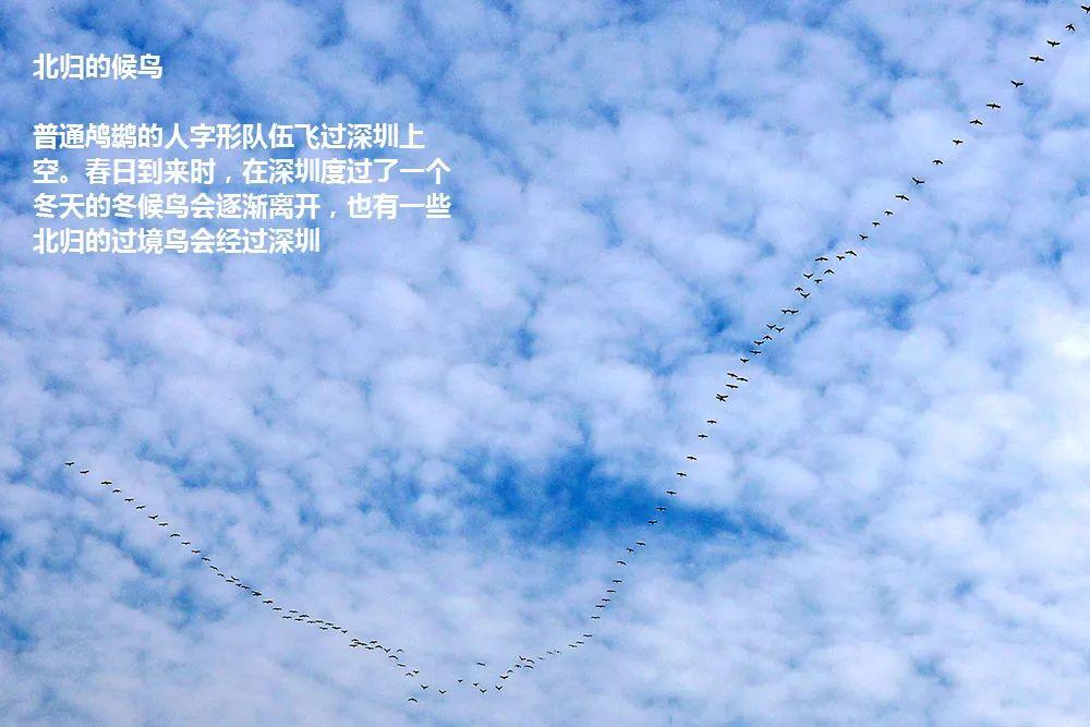 南兆旭：这里是深圳