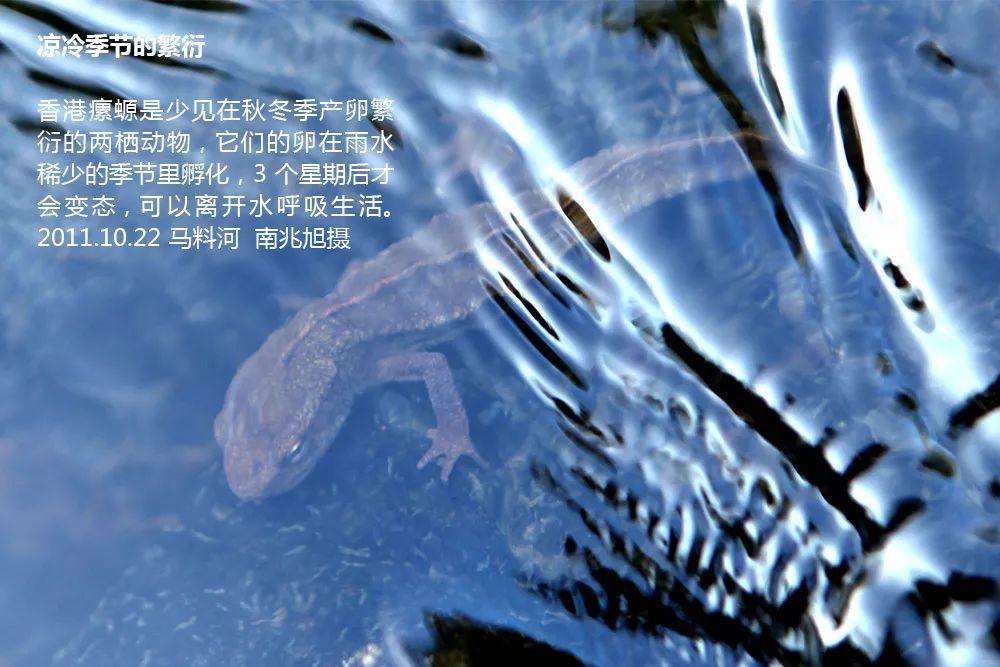 南兆旭：这里是深圳