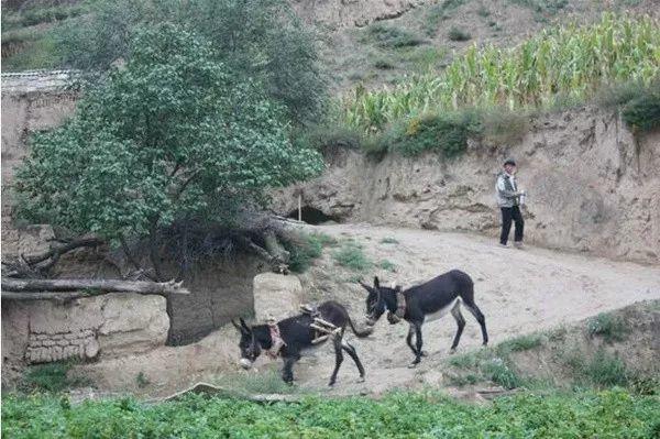 中国城乡之间的差距是一个事实，根源在哪里？