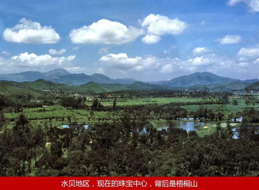 南兆旭：这里是深圳