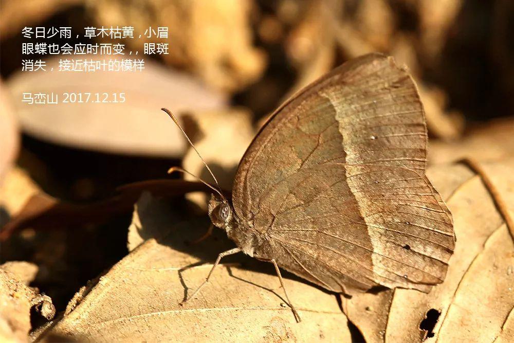 南兆旭：这里是深圳