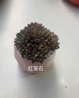 年会剧透 | word天，没点实力怎么参加“鼠”于“童”衡的年！