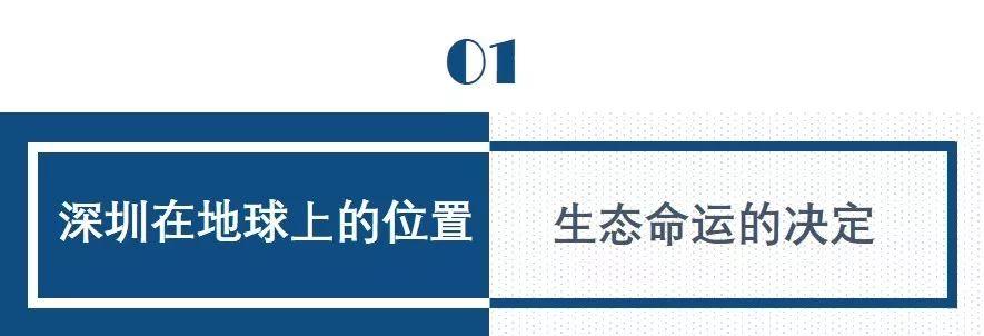 南兆旭：这里是深圳