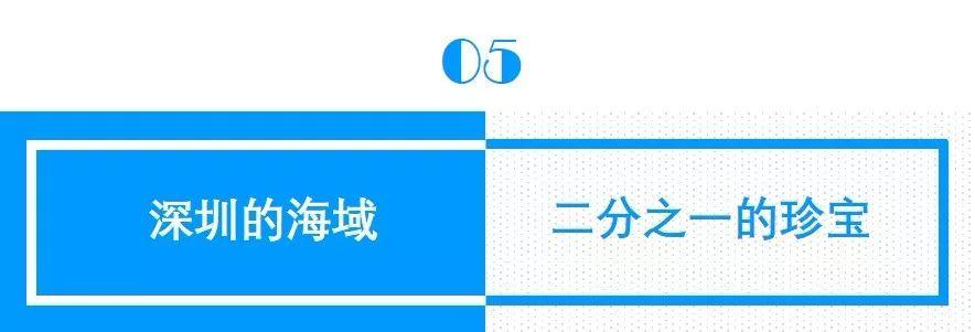 南兆旭：这里是深圳