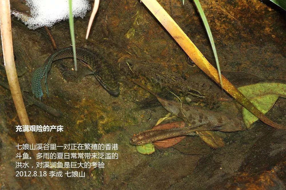 南兆旭：这里是深圳