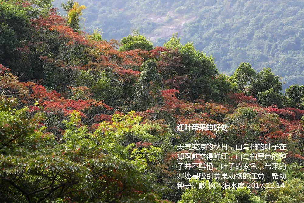 南兆旭：这里是深圳