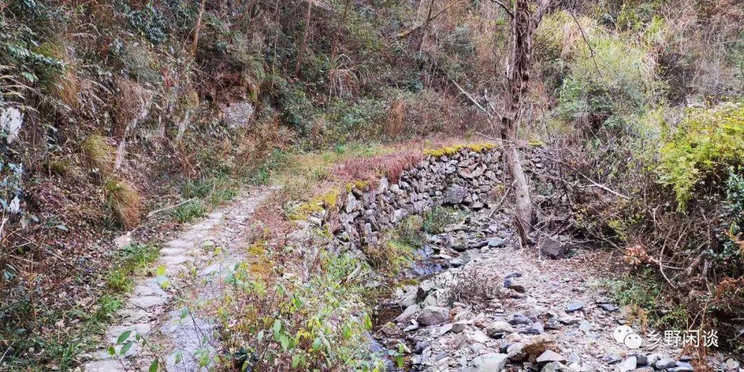 【徽州古道47】绩溪新岭古道:翚岭第二通道 【徽州古道47】绩溪新岭古道:翚岭第二通道