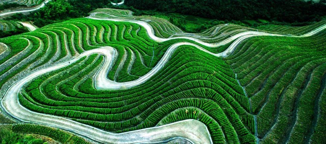 周立:从食利经济到吃租经济:乡村振兴中的金融创新