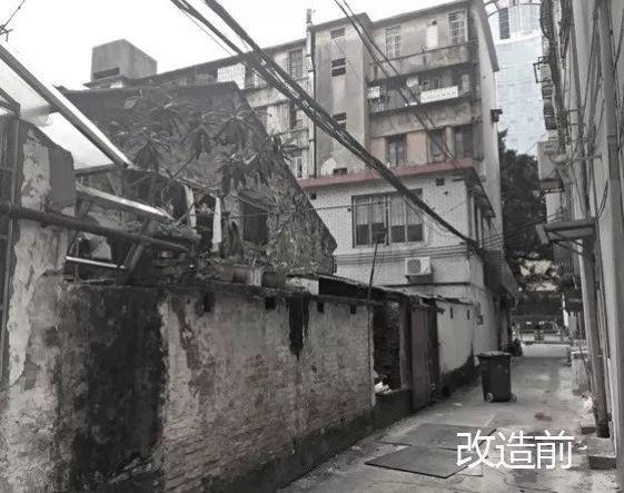 广州上新了(三)| 保护传承 广州上新了(三)| 保护传承