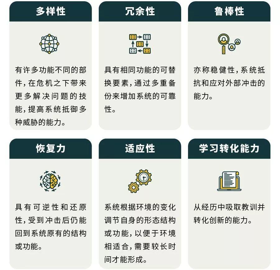 「新·周看」韧性城市规划